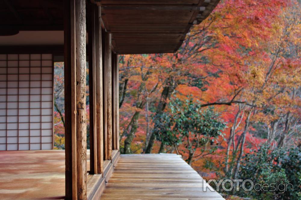 高山寺　石水院の紅葉5