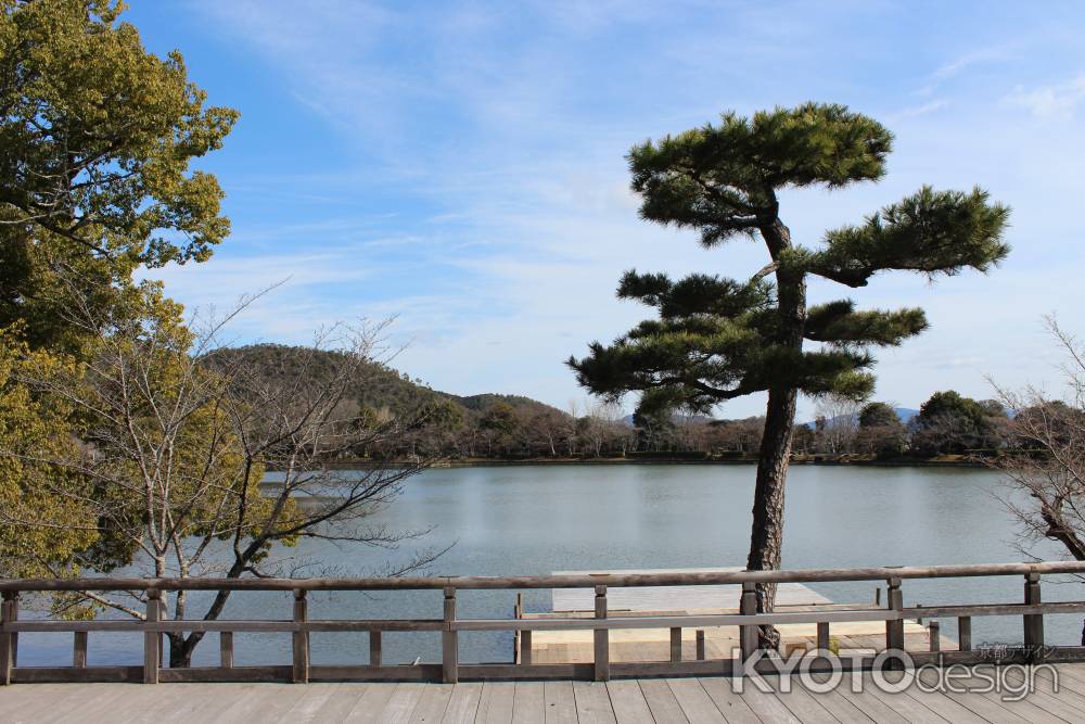 大覚寺　大沢池3