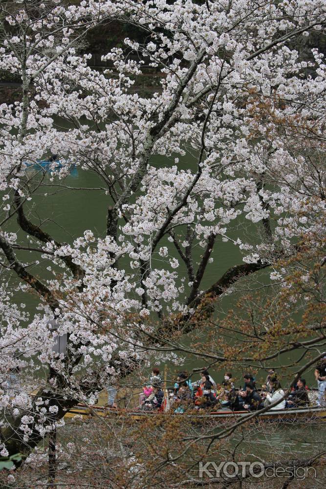 嵐山公園の桜と屋形船