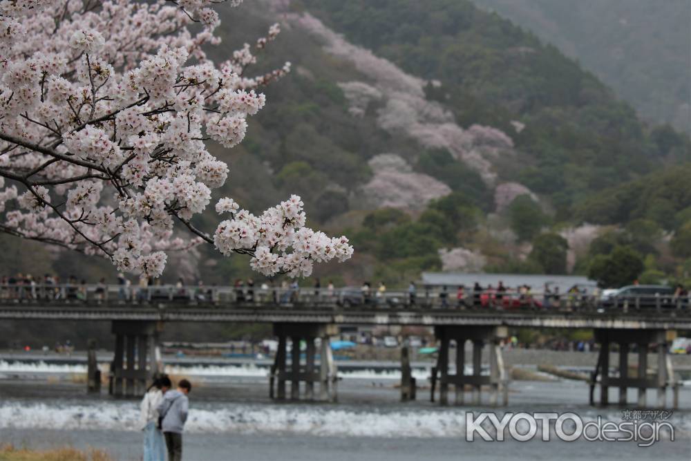 嵐山公園の桜