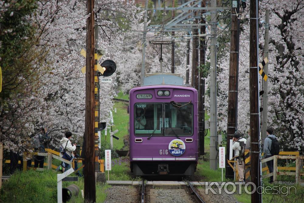 嵐電桜のトンネル