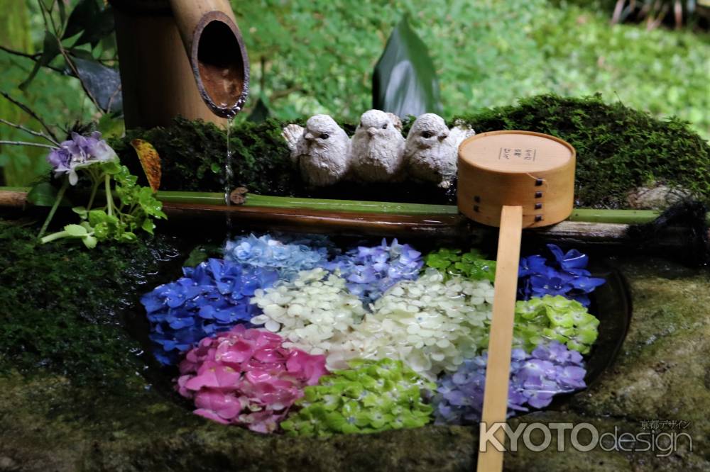 柳谷観音楊谷寺　あじさい6