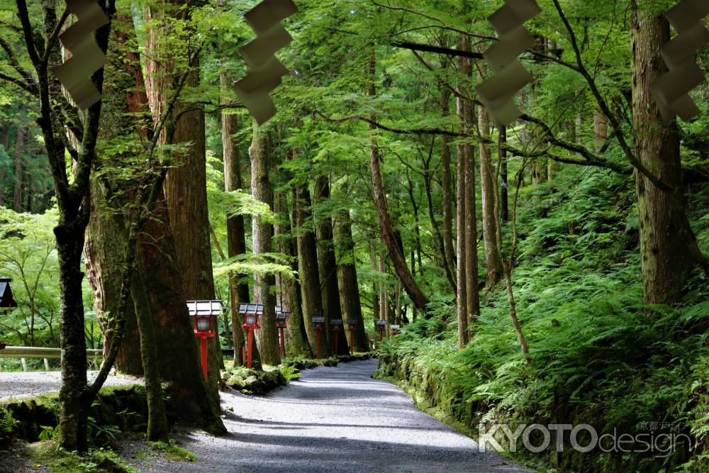 貴船神社　奥宮