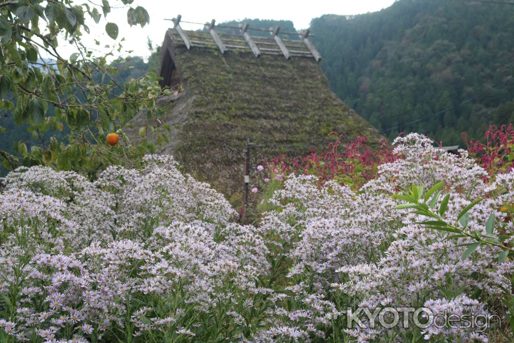 美山かやぶきの里2