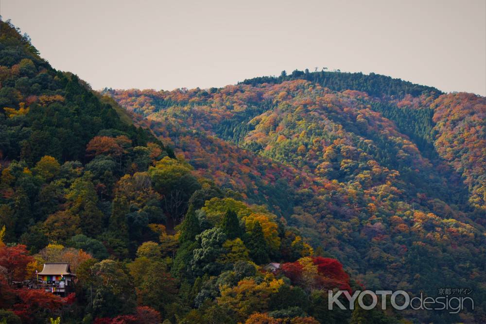 嵐山の紅葉