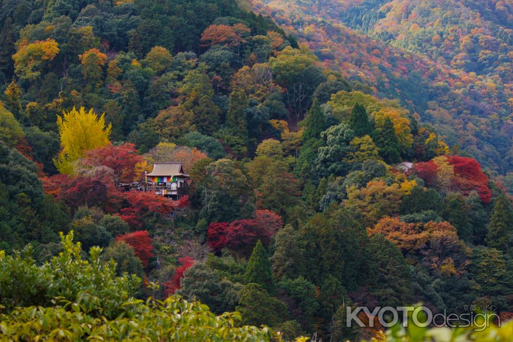 嵐山の紅葉