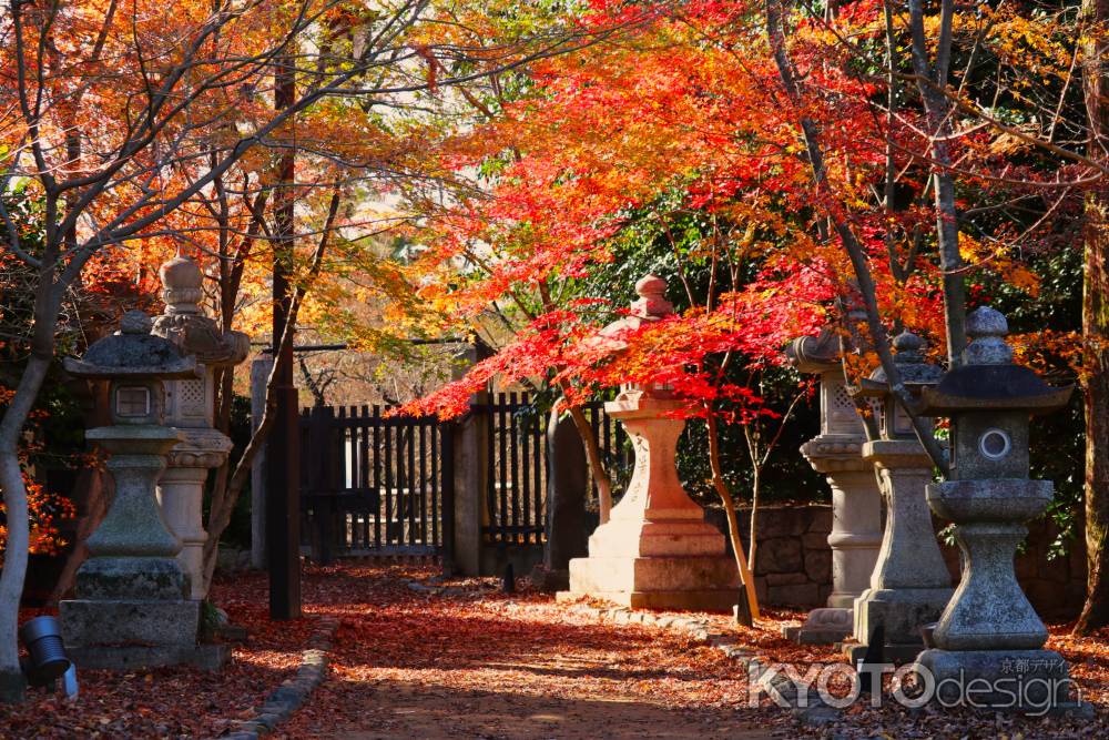 北野天満宮紅葉
