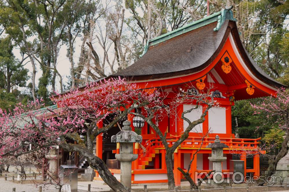 北野天満宮　梅