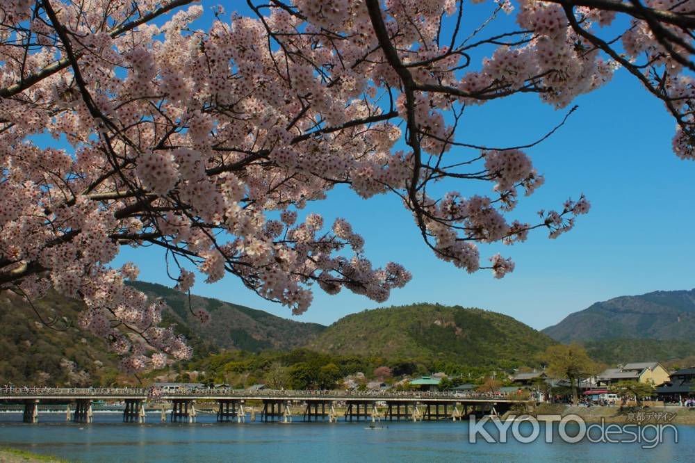 嵐山　渡月橋　桜