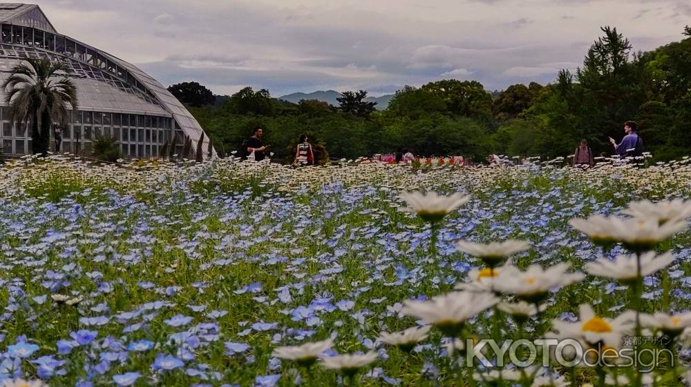 京都府立植物園