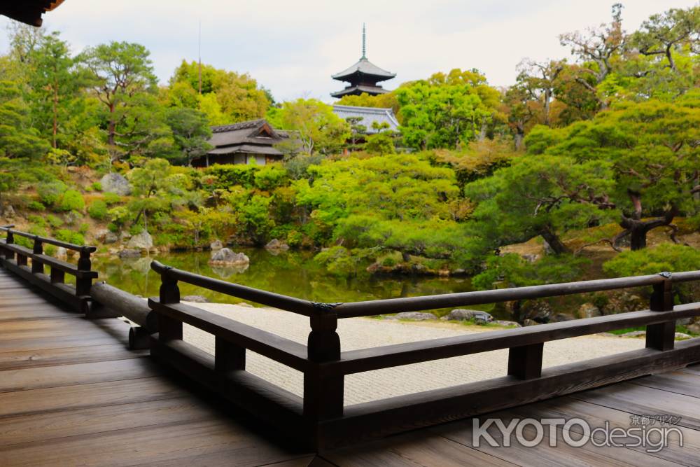 仁和寺　本殿⑤