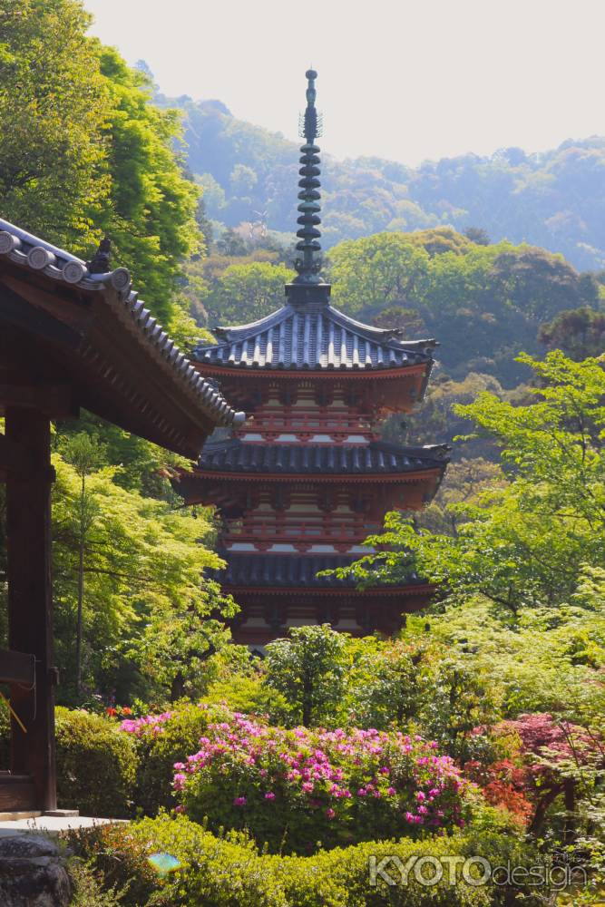 三室戸寺　三重塔