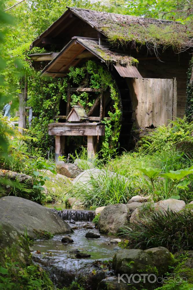 京都府立植物園　水車小屋