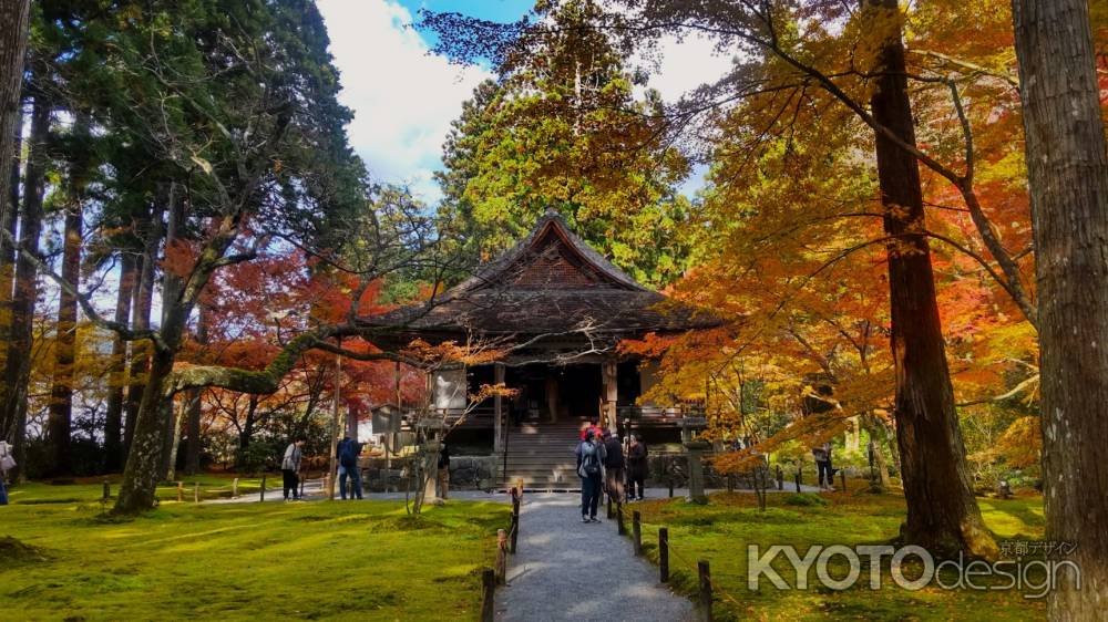 大原三千院の紅葉②