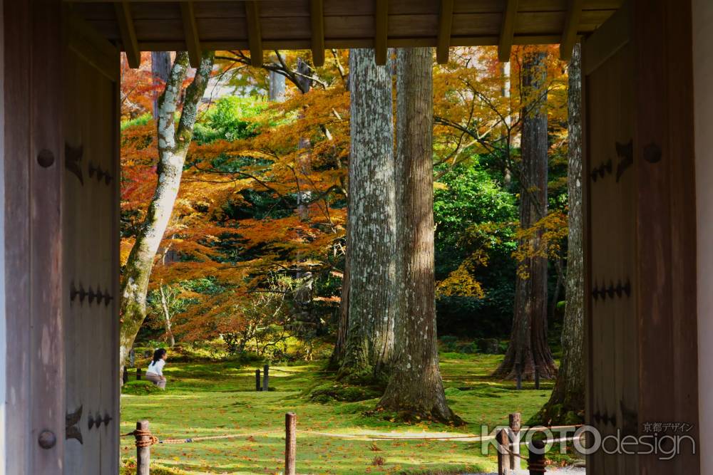 大原三千院 可愛い参拝客