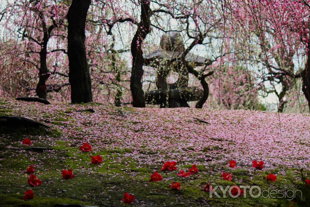 城南宮枝垂れ梅と灯籠