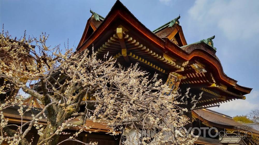 北野天満宮　三光門と梅