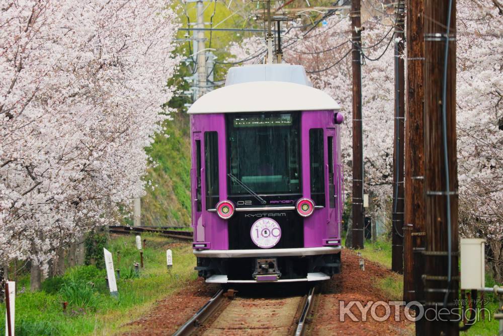 嵐電さくらのトンネル