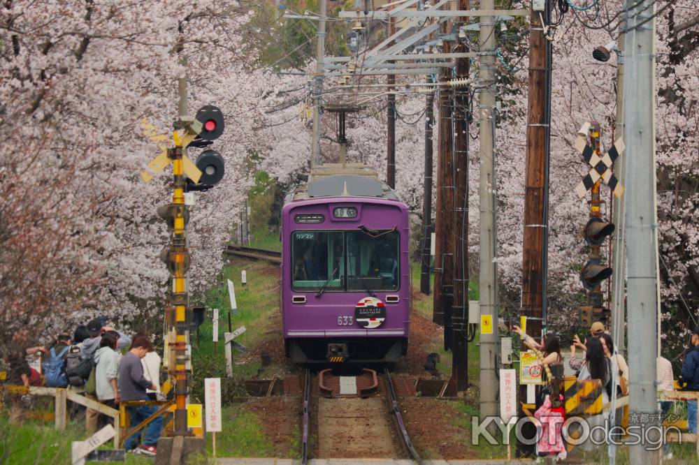 嵐電さくらのトンネル