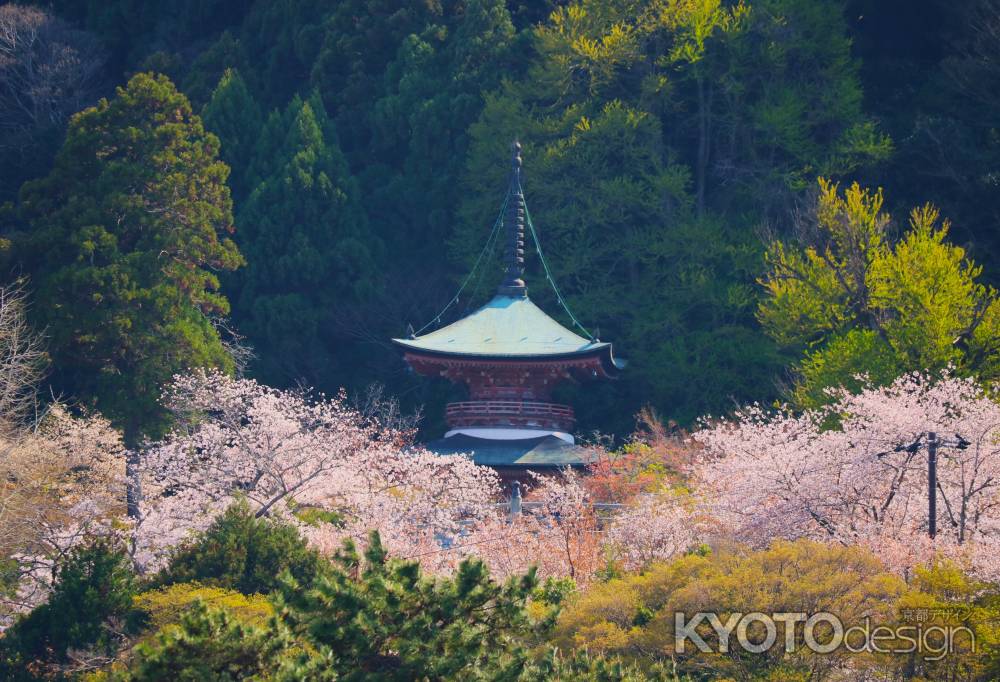 虚空蔵法輪寺