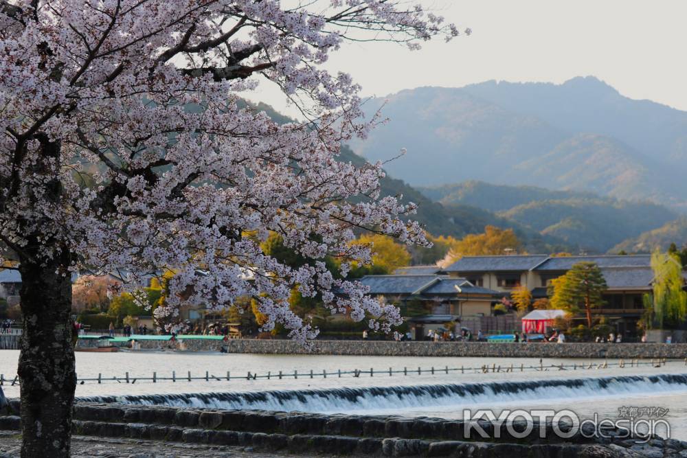 嵐山公園大堰川と桜と愛宕山