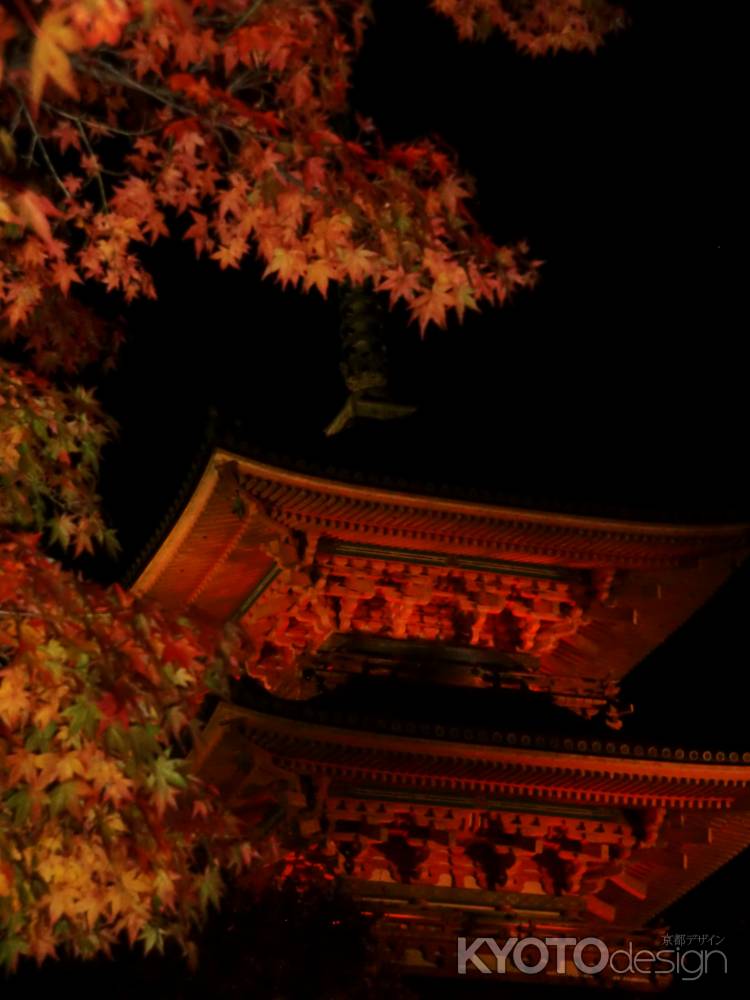 清水寺　夜5