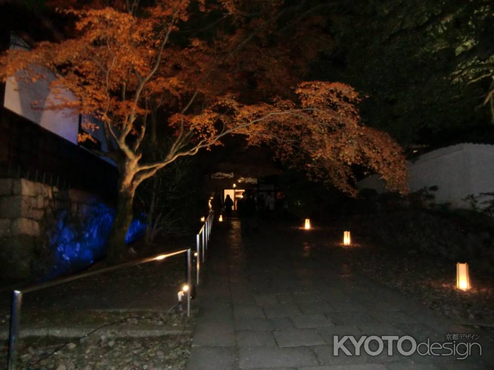 青蓮院　夜1