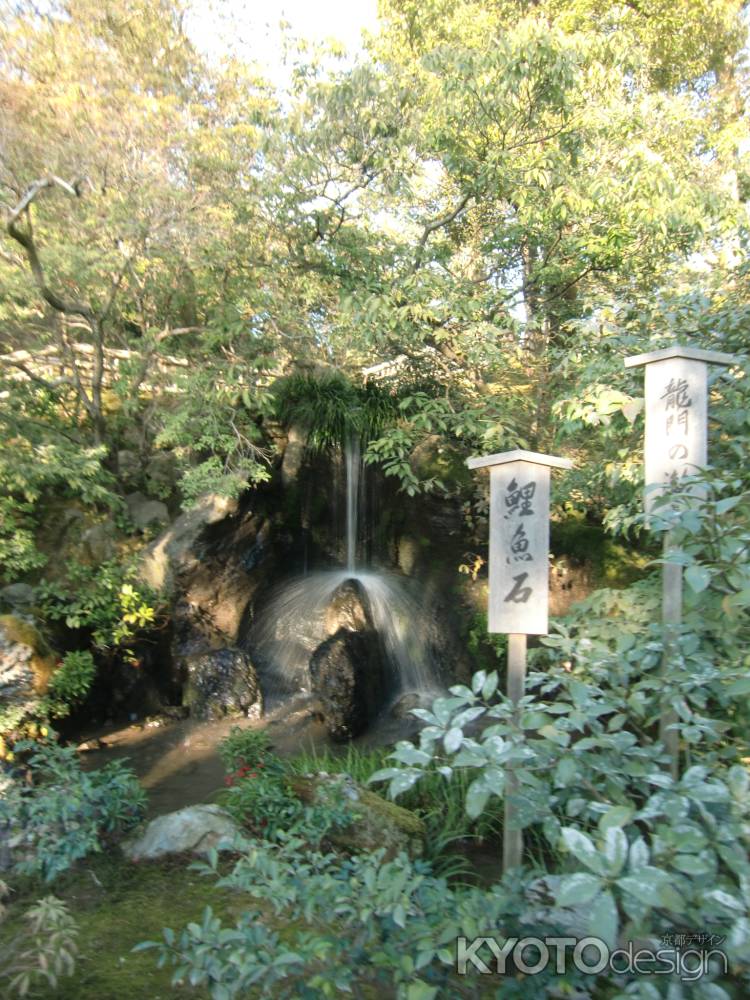 金閣寺　龍門の瀧　鯉魚石