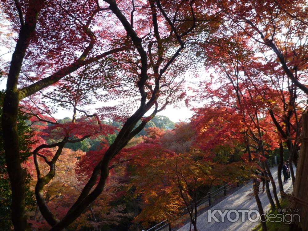 清水寺の紅葉