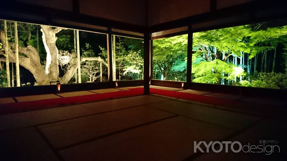 宝泉院のライトアップ