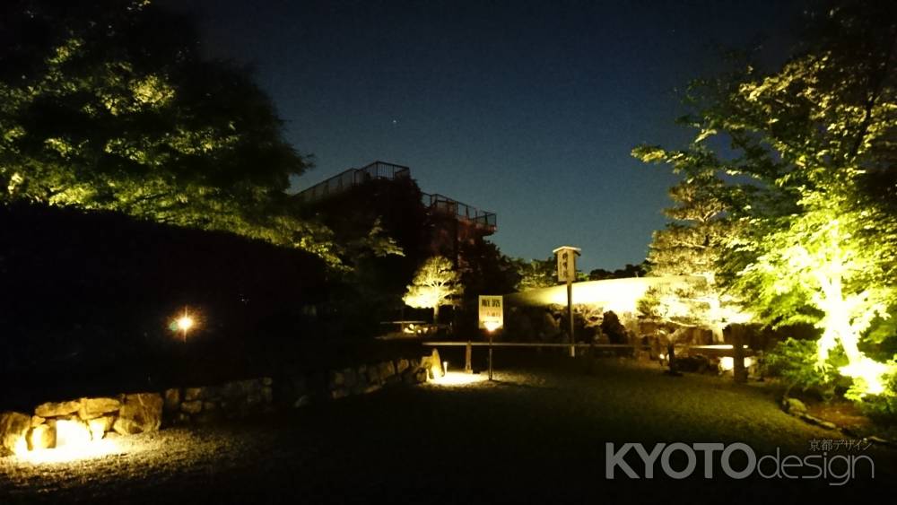 将軍塚 ライトアップ