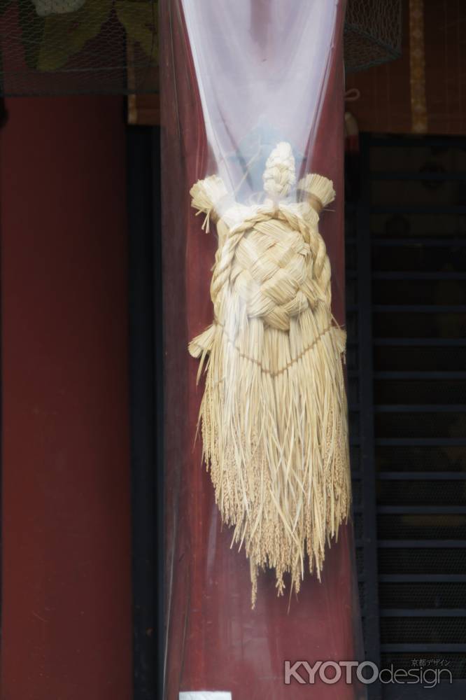 八坂神社のカメ
