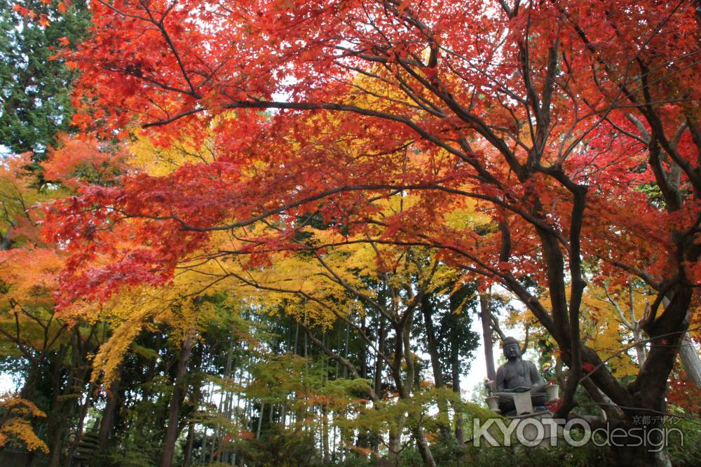金戒光明寺（黒谷さん）の紅葉ー７
