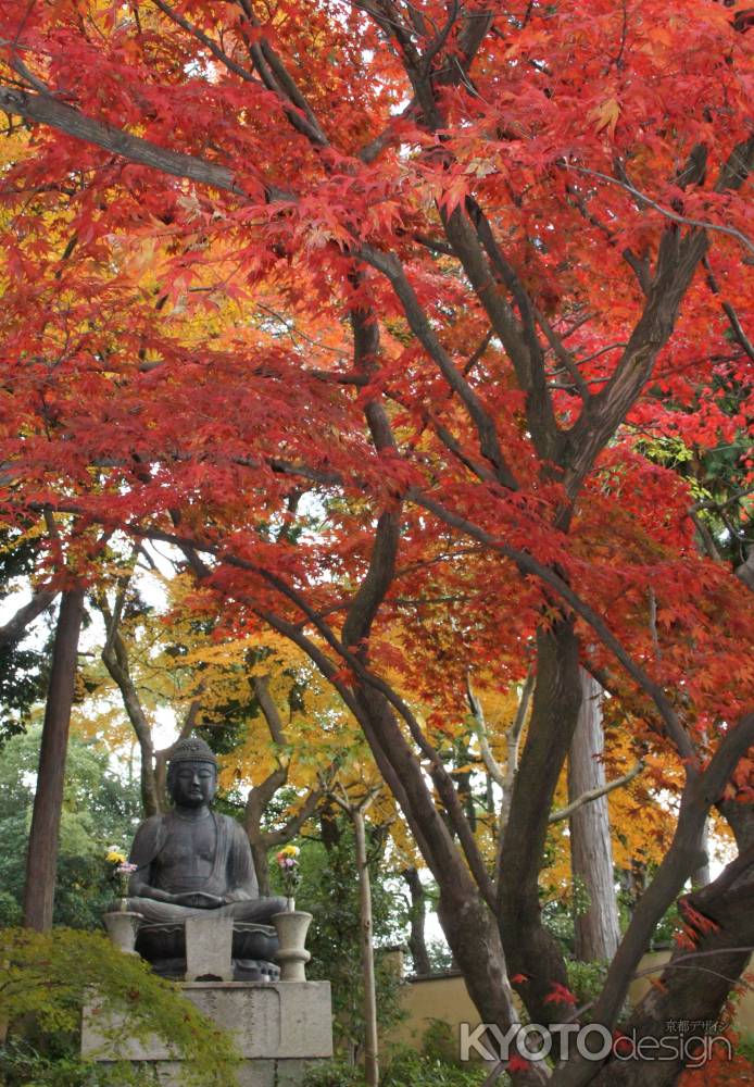 金戒光明寺（黒谷さん）の紅葉ー８