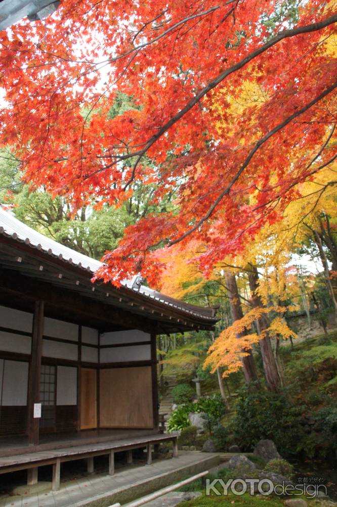 金戒光明寺（黒谷さん）の紅葉ー９