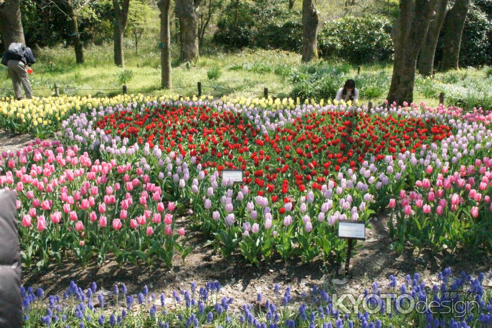 京都府立植物園ー１０