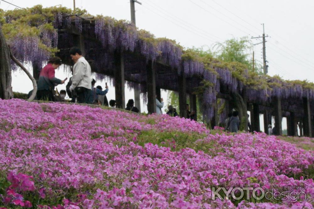 鳥羽水環境保全センターー２