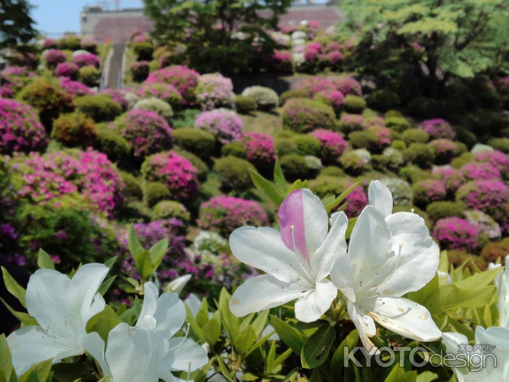 蹴上浄水場ー10