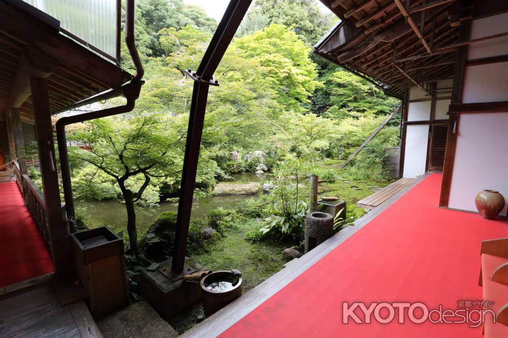 実相院 池水回遊式庭園①
