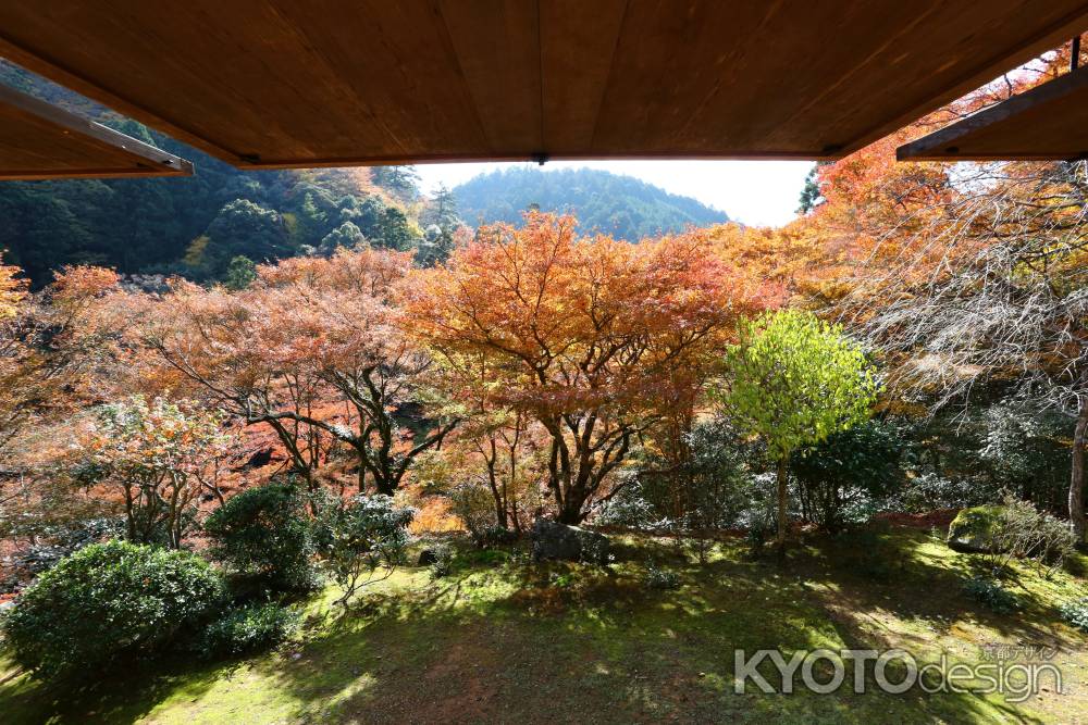 高山寺 石水院庭園①