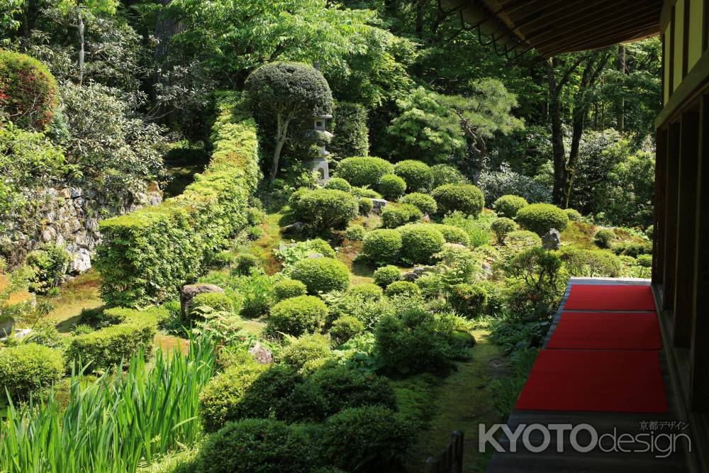 三千院の緋毛氈