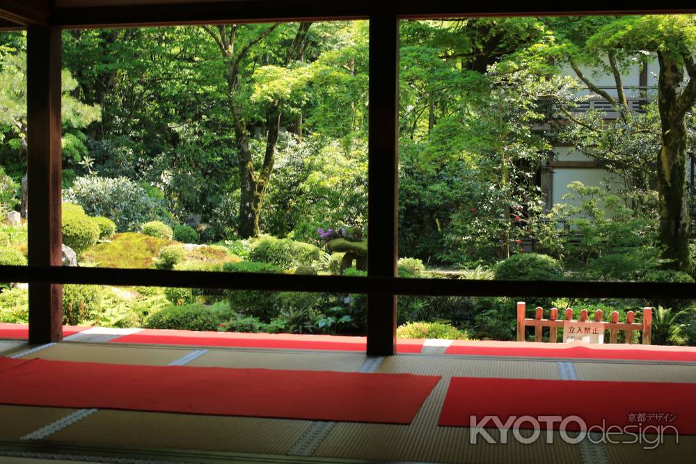 大原 三千院客殿