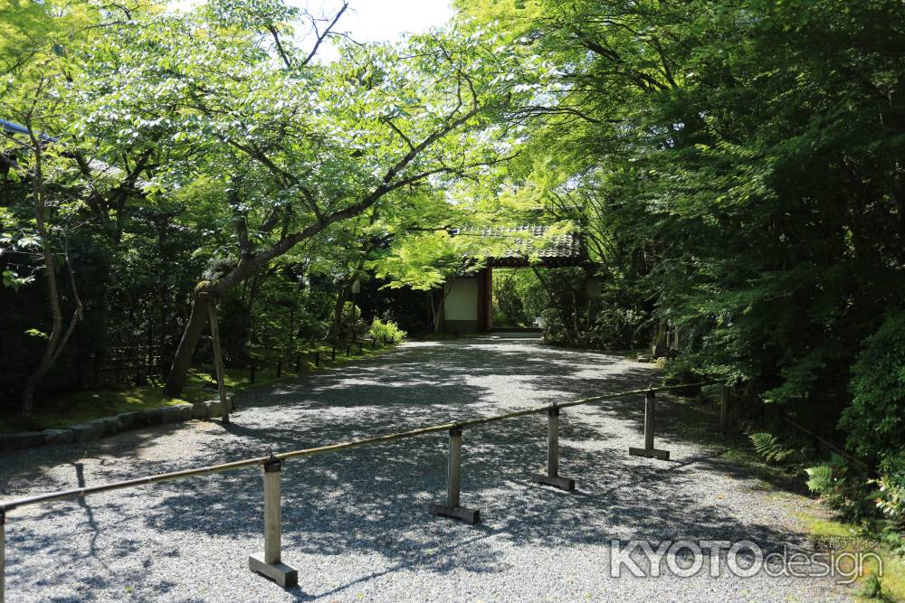 琳派400年鷹ヶ峰散策 常照寺8