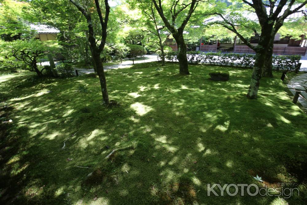 西方寺 (苔寺)11