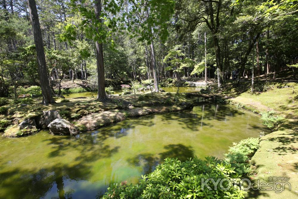西方寺 (苔寺)31