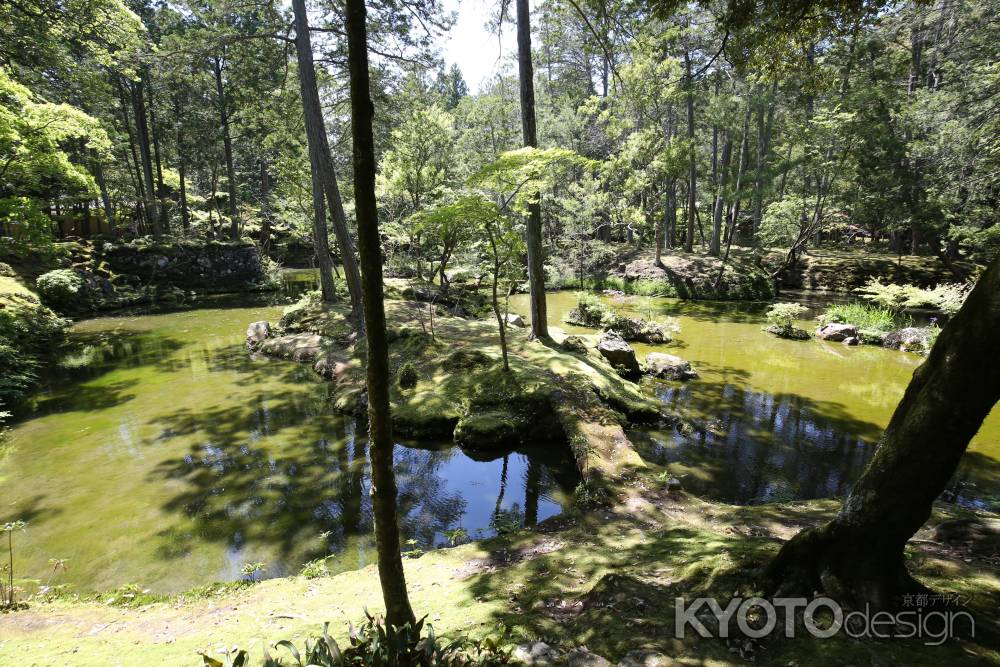 西方寺 (苔寺)33