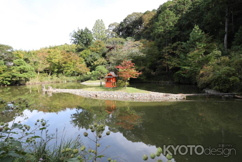浄瑠璃寺 苑池の中島