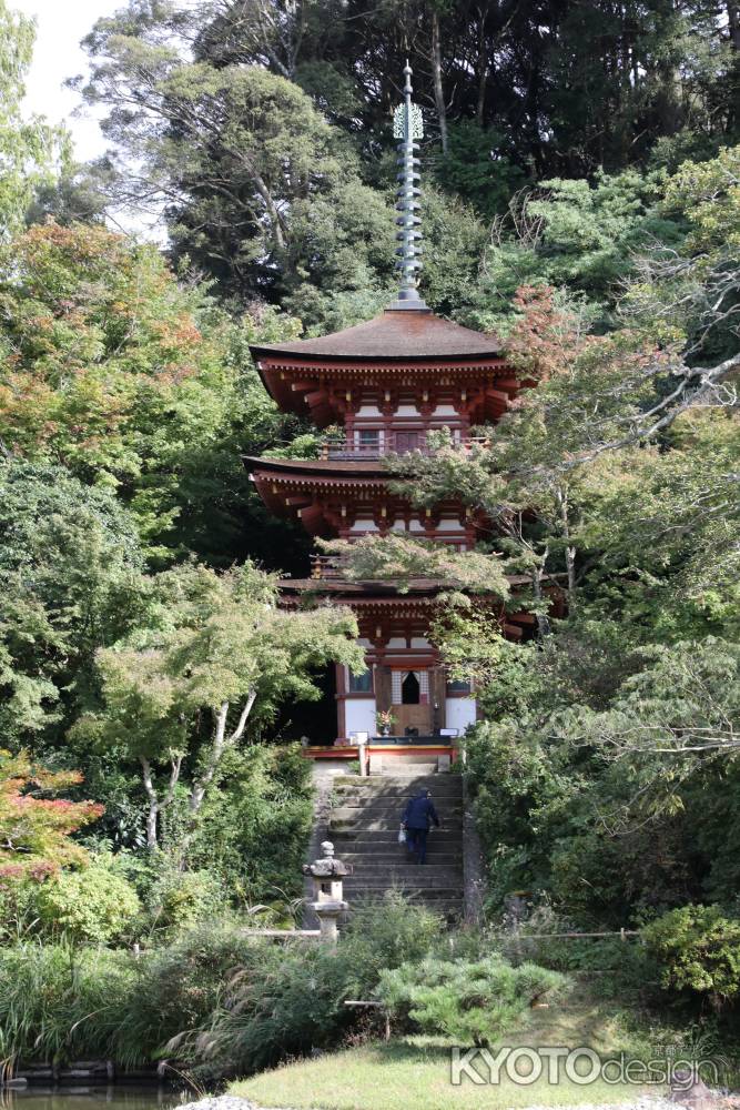 浄瑠璃寺 三重塔望む