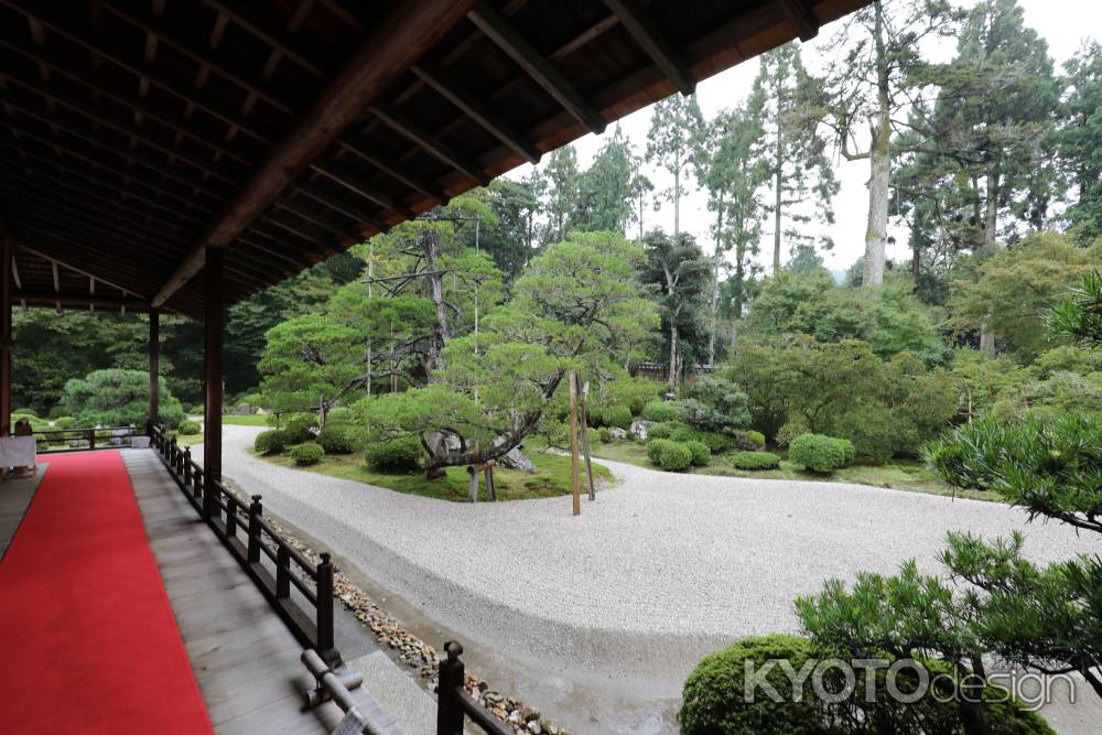 曼殊院 枯山水庭園 4