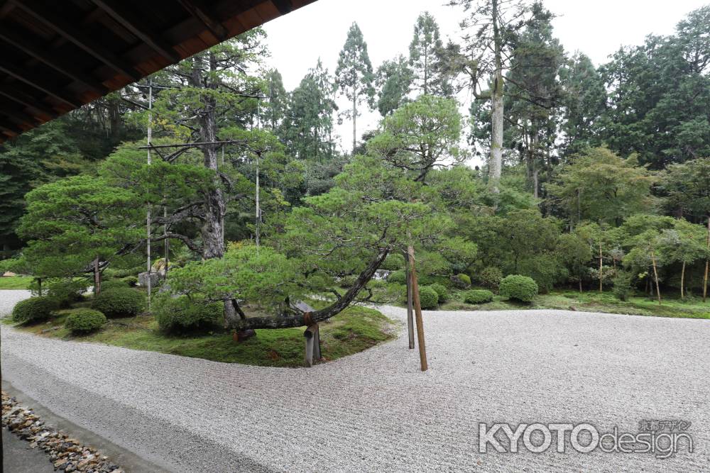 曼殊院 枯山水庭園5